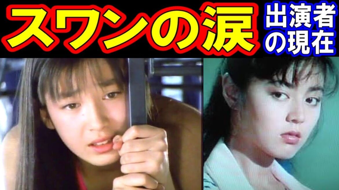 青春オーロラ・スピン スワンの涙のキャストの現在【出演者は今どうしてる？】あの人の現在
