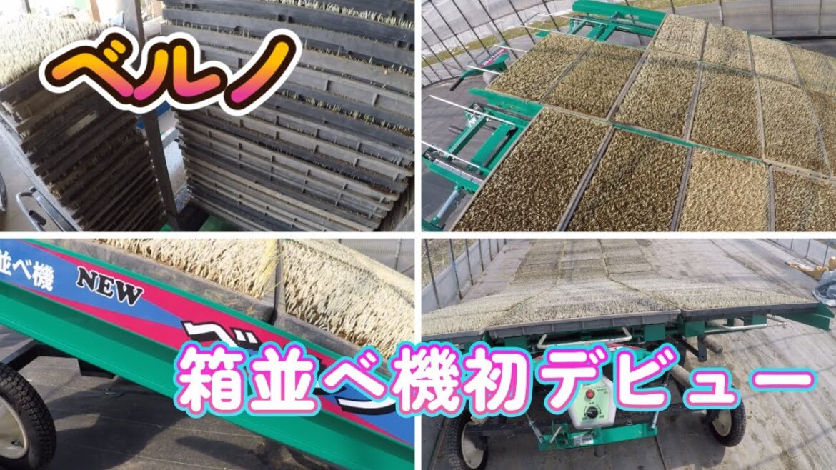 水稲農家。合言葉はベルノ。箱並べ機ついに買ってみた。