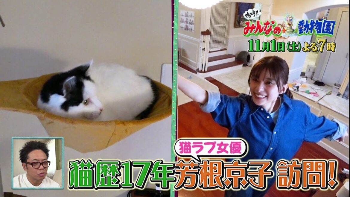 「嗚呼!!みんなの動物園」11月1日土曜よる7時から放送!ラミレス家に芳根京子が訪問!&相葉トリミングに佐野勇斗 「嗚呼!!みんなの動物園」11月1日土曜よる7時から放送!ラミレス家に芳根京子が訪問!&相葉トリミングに佐野勇斗