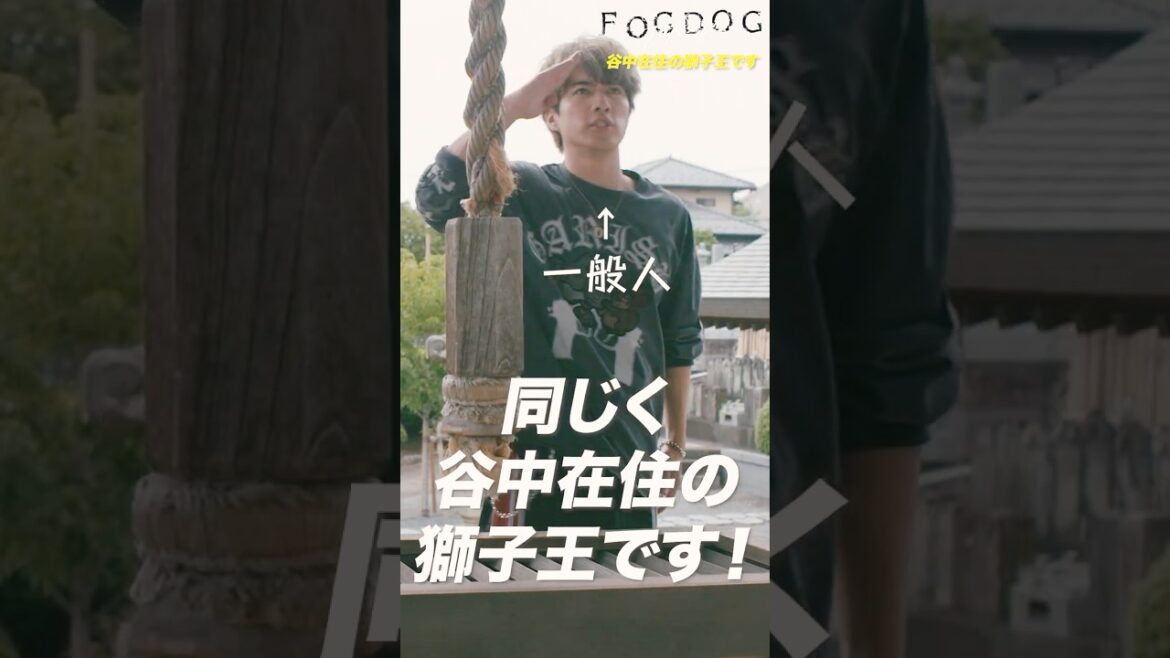 谷中在住の獅子王です! #Shorts #FOGDOG #フォグドッグ 谷中在住の獅子王です! #Shorts #FOGDOG #フォグドッグ