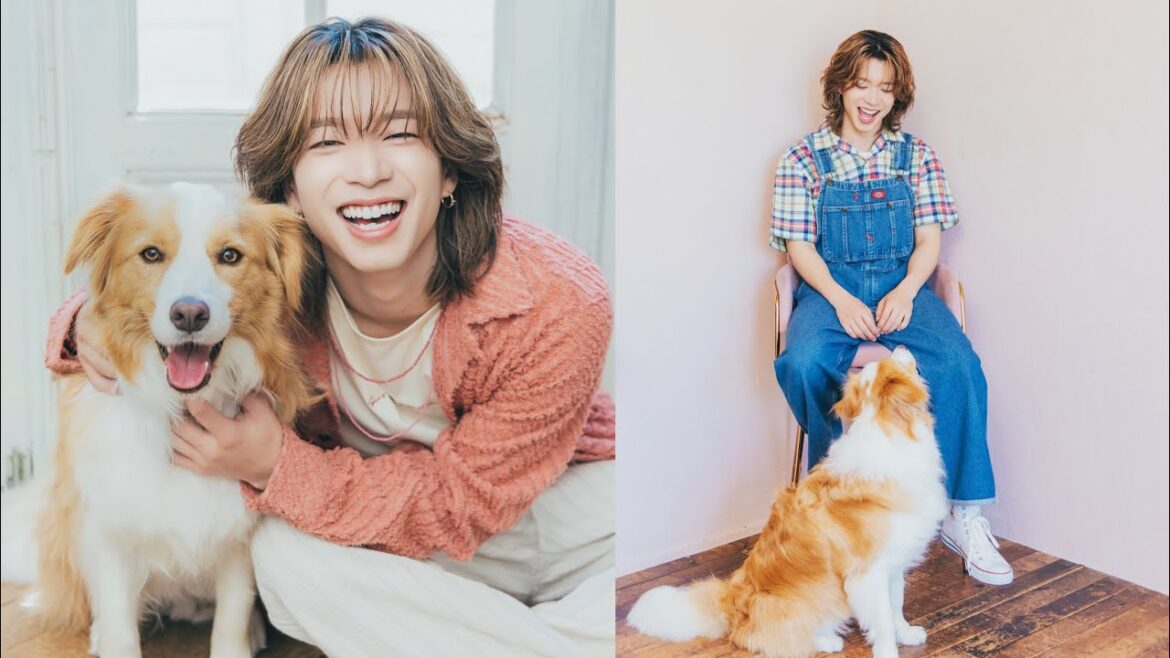BUDDiiS・森 愁斗さんが遊びにきてくれました!(ボーダーコリー|月刊わんこ撮影オフショット) BUDDiiS・森 愁斗さんが遊びにきてくれました!(ボーダーコリー|月刊わんこ撮影オフショット)