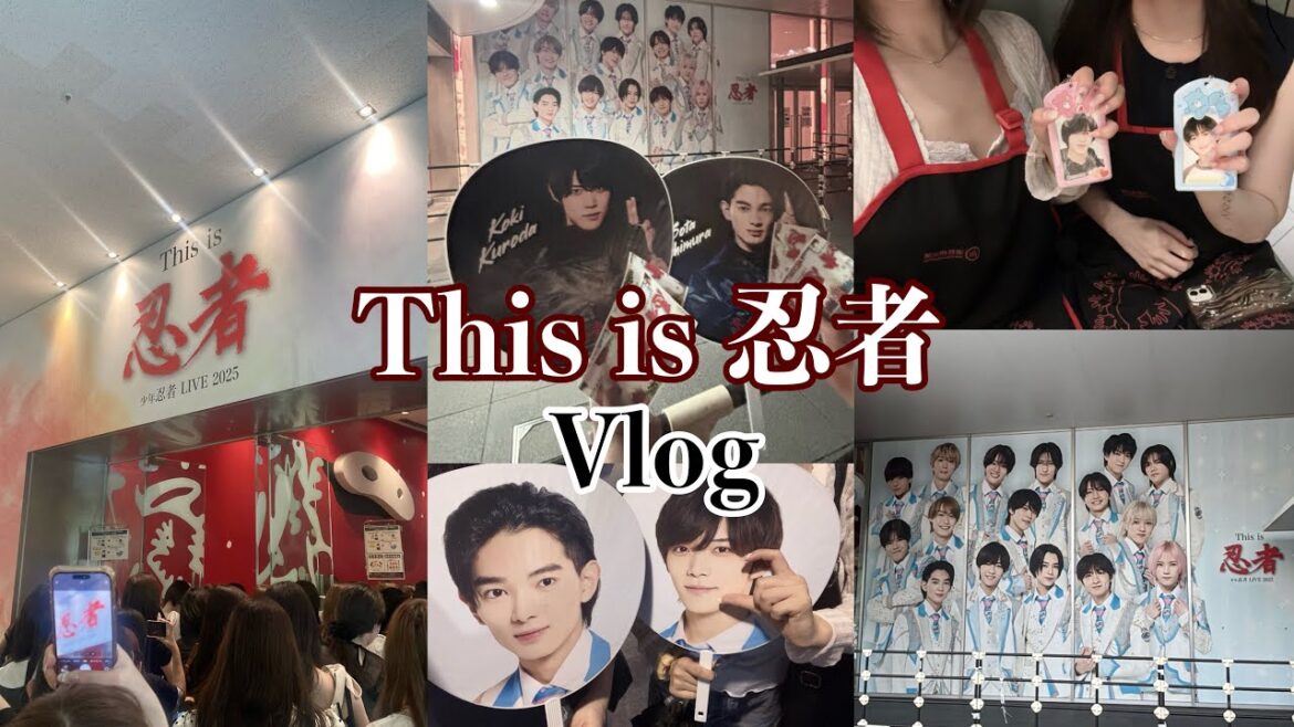 【Vlog】This is 忍者🥷 夏ライブ🍧🎐Vlog|オタクvlog|少年忍者 【Vlog】This is 忍者🥷 夏ライブ🍧🎐Vlog|オタクvlog|少年忍者